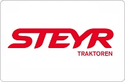 STEYR 1:32