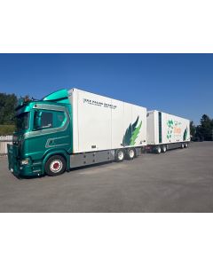 Scania NGS HL Schwedenkombi "Palms"