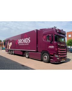 Scania S HL CS20H 4x2 "CJ Orchids"