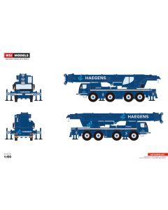 Liebherr LTM 1120-4.1 "Haegens"